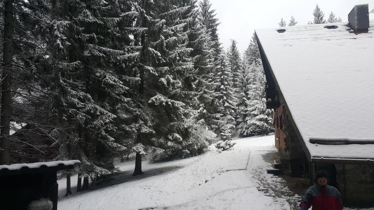 Chata Kiki Malino Brdo Ruzomberok Dış mekan fotoğraf